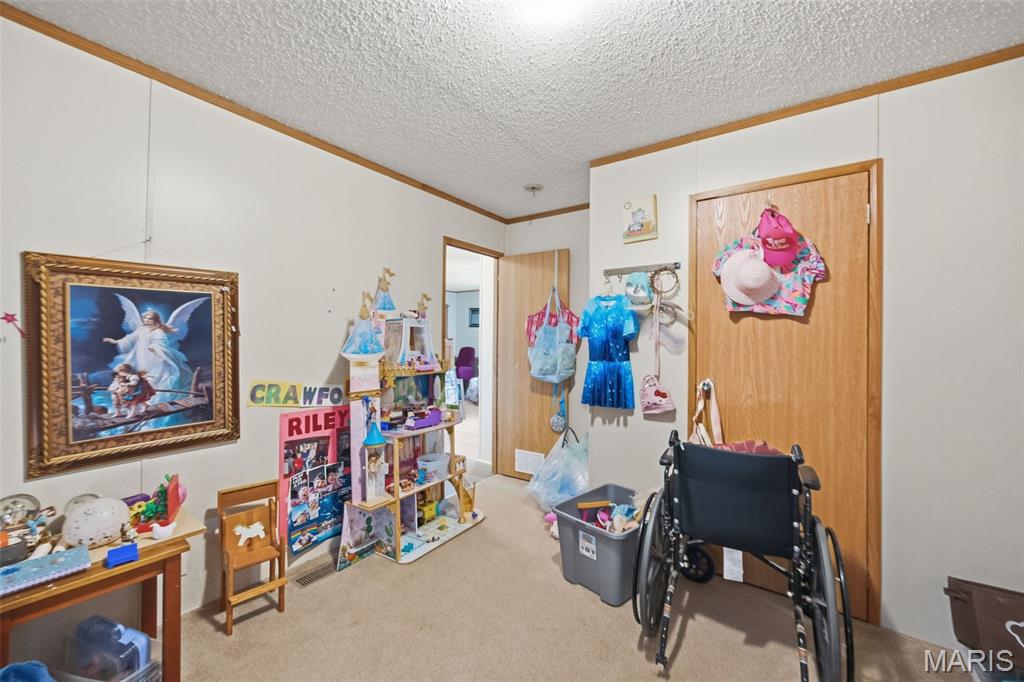 10828 Jayhawk Road Irondale, MO 63648 - Photo 22 of 47