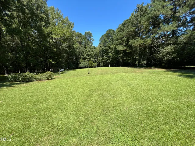 a view of a field with an trees