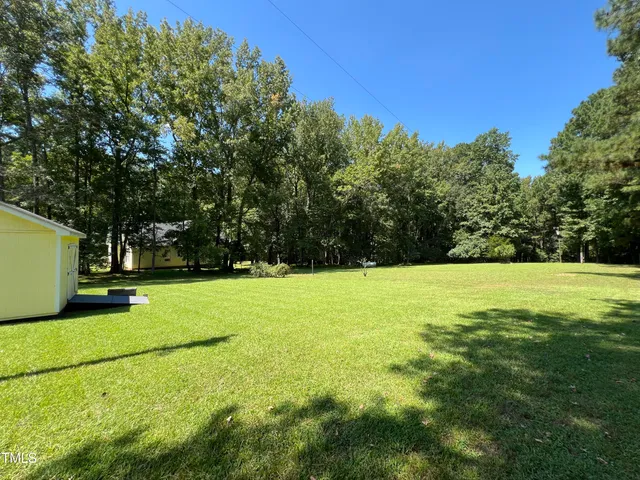 a view of field with tall trees