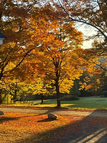 $1,255,000 | 136 Yeaw Road, Dover, VT 05341