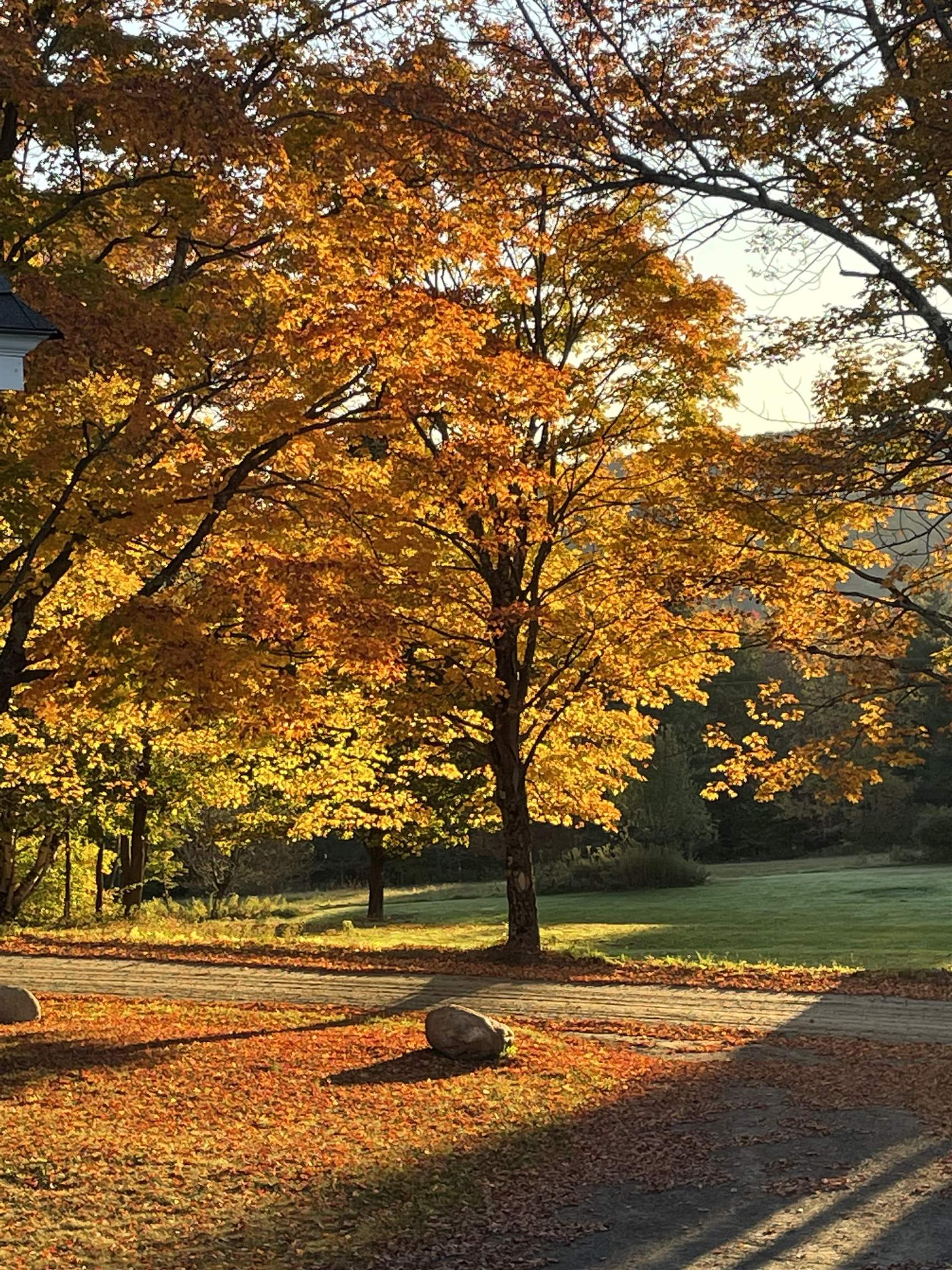 136 Yeaw Road Dover, VT 05341 - Photo 60 of 60