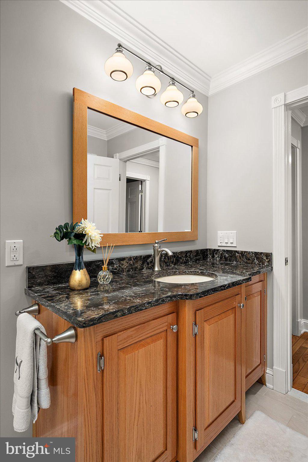 33915 Shockley Road Parsonsburg, MD 21849 - Photo 79 of 125 Elegant bathroom with modern finishes.