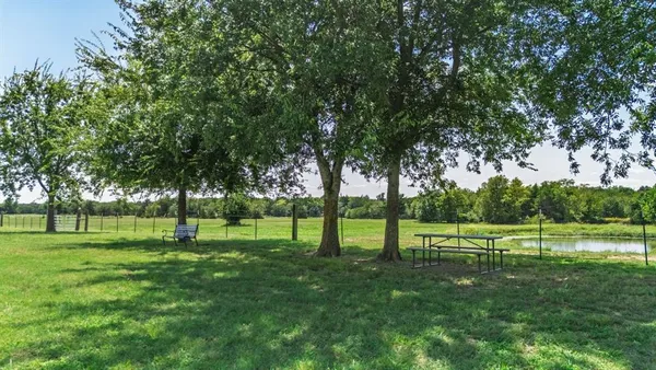 a view of a park with trees in the background
