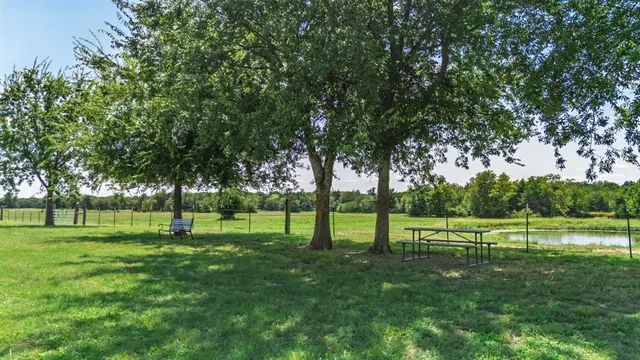 a view of a park with trees in the background