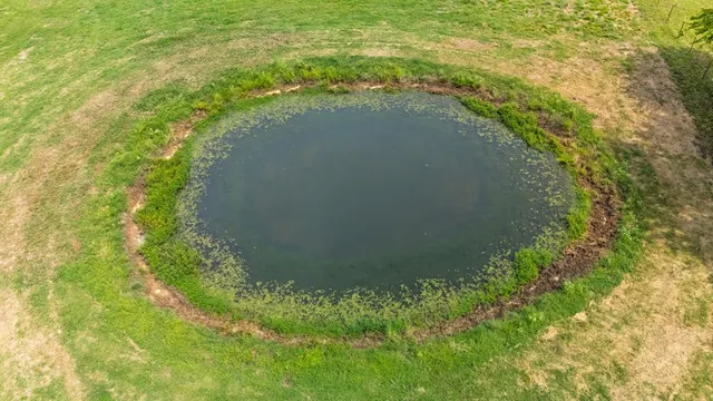a view of yard with ocean view