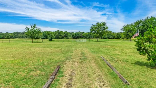 a view of field with tall trees
