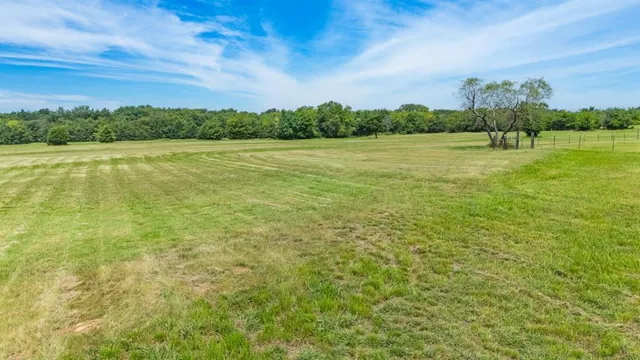 a view of a yard with a tree