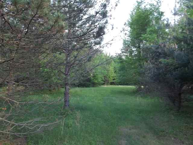 4286 Mortimer Line Road Croswell, MI 48422 - Photo 24 of 25 31096196-23.JPG