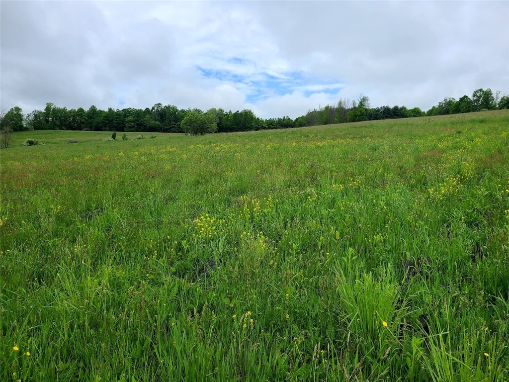10815 Church Creek Road Caton, NY 14858 - Photo 9 of 22