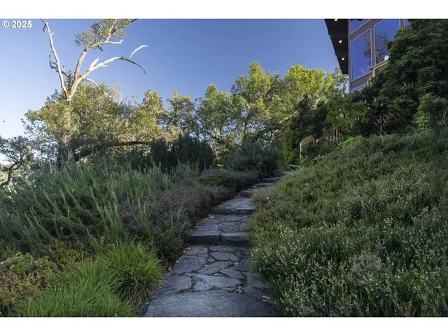 a view of a garden with trees