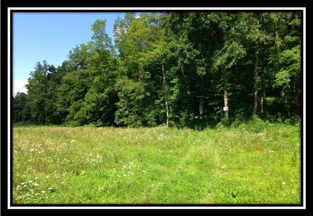 6010 Rarden-Hazelbaker Hill Road Peebles, OH 45660 - Photo 6 of 11 Gallery Image 6