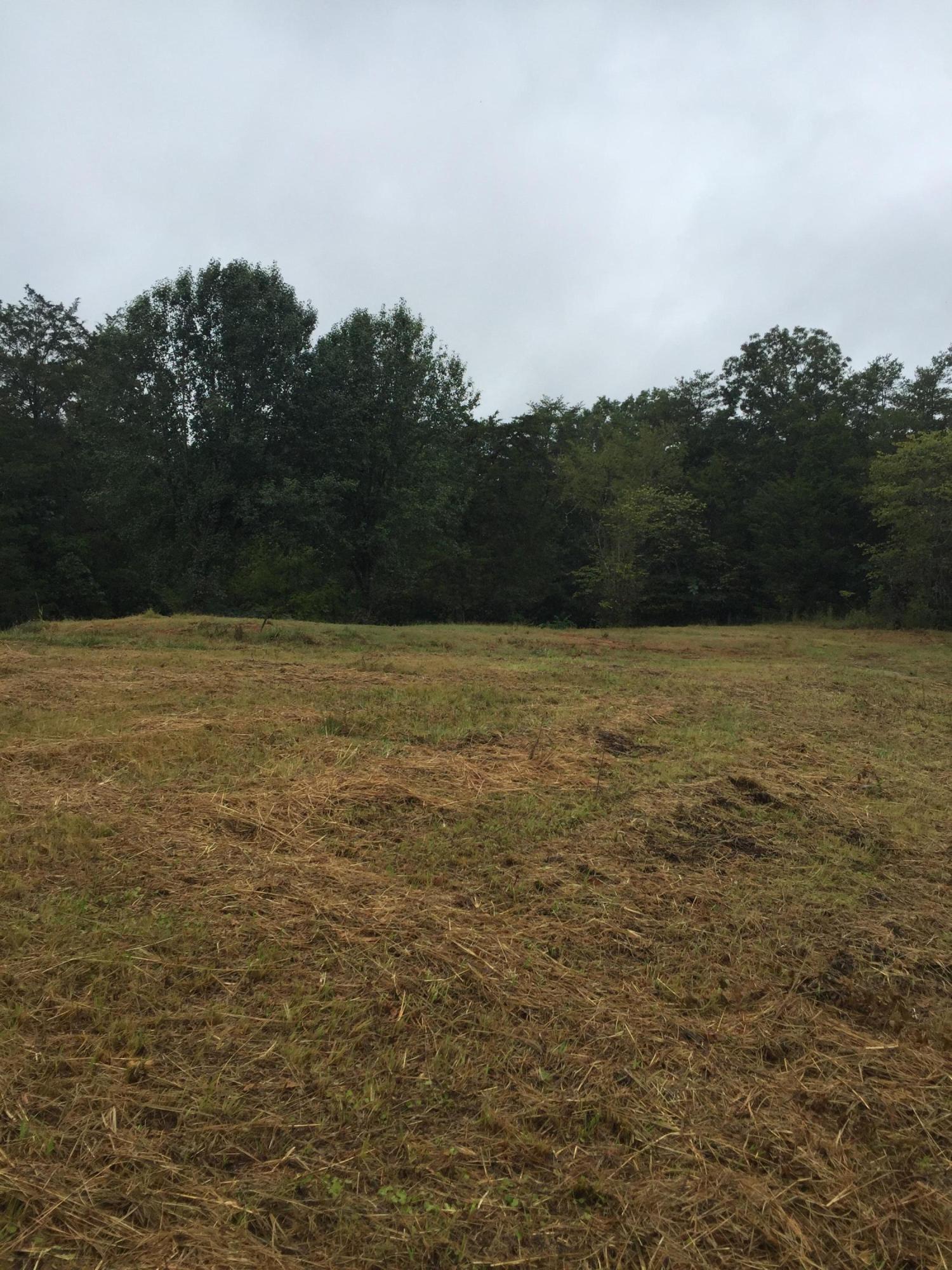 1819 Elkins Road Kodak, TN 37764 - Photo 3 of 3 Elkins Level Lot