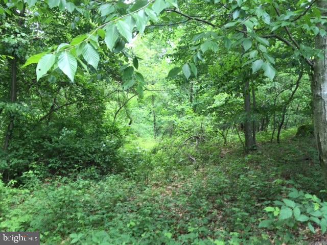 0 Sweitzer Road, Unit 2 Mohnton, PA 19540 - Photo 1 of 4 a view of a lush green forest
