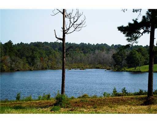 Lot 8 Lot Road Lucedale, MS 39452 - Photo 6 of 28 Additional Photo