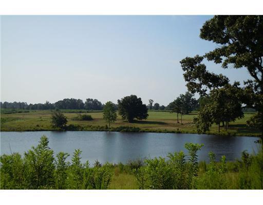 Lot 8 Lot Road Lucedale, MS 39452 - Photo 9 of 28 Additional Photo