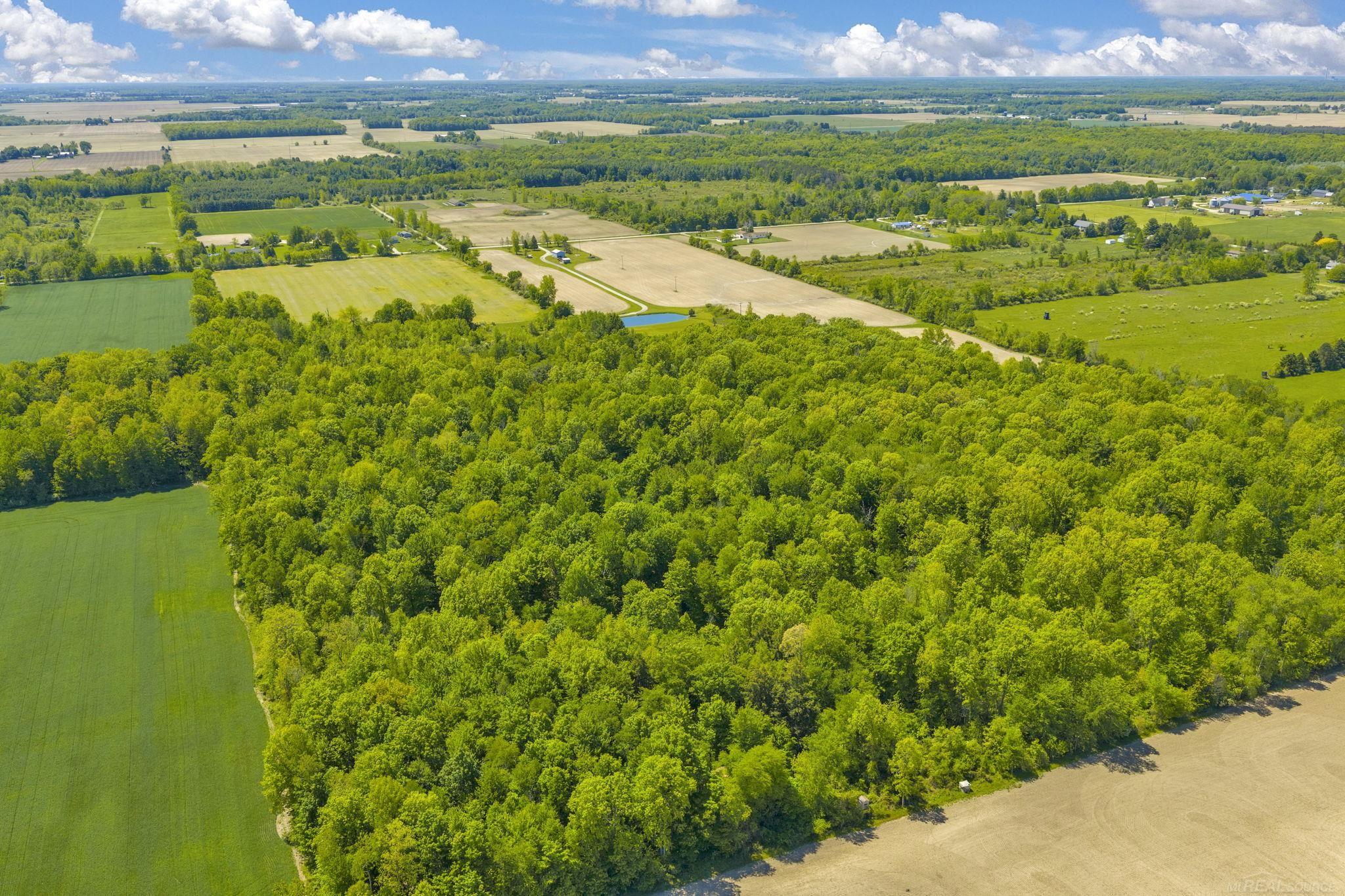 0 Wellman Line Road Yale, MI 48097 - Photo 9 of 10