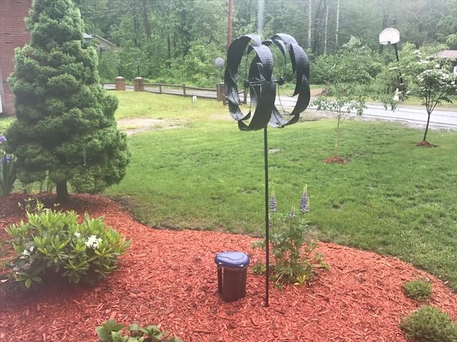 14 Gary Road Dunbarton, NH 03046 - Photo 27 of 35