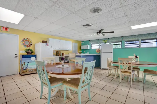 a tree in the middle of a yard