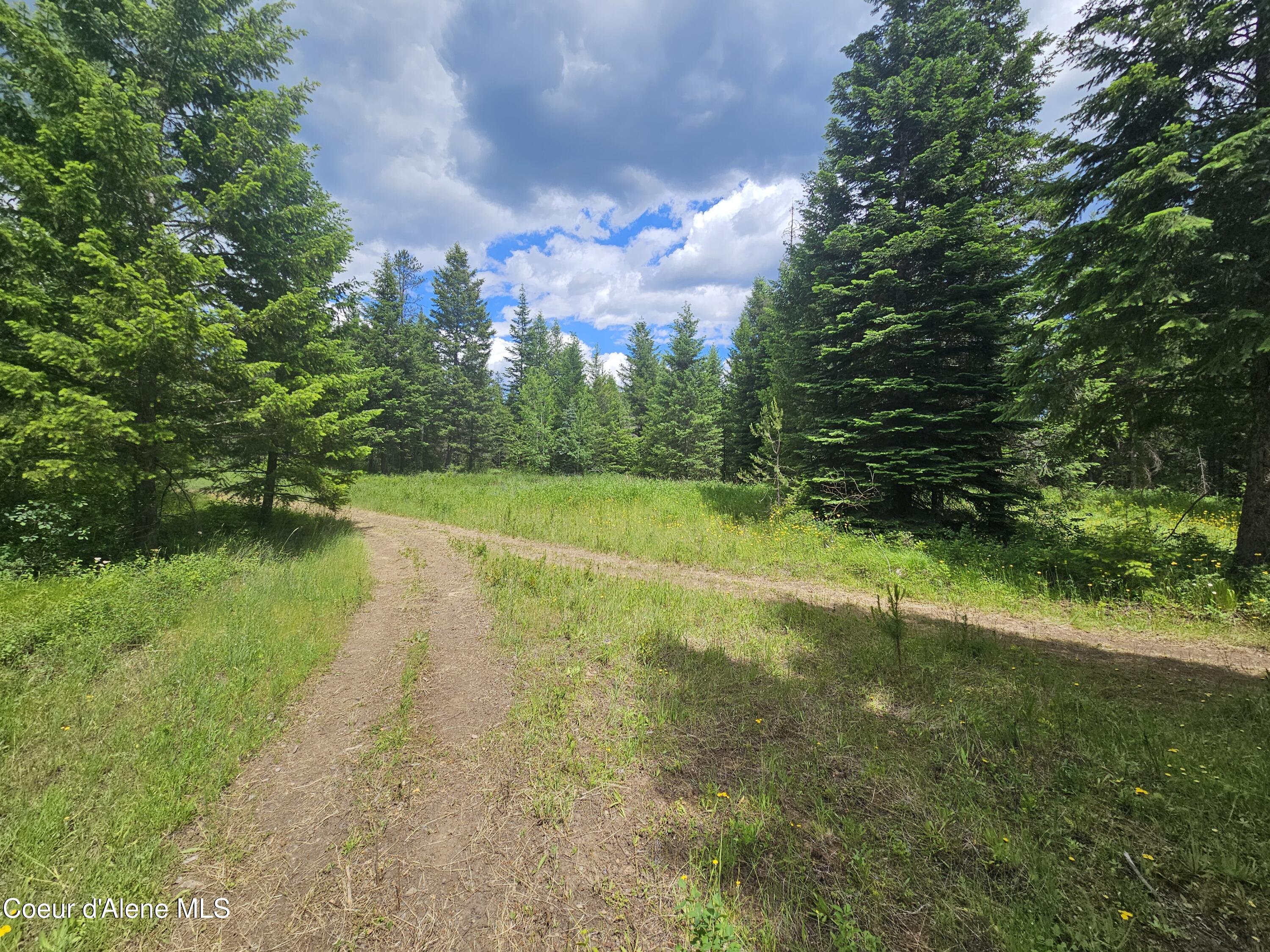 7248 Honeysuckle Road Athol, ID 83801 - Photo 6 of 16 6