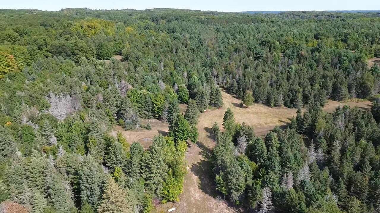 0 Henschell Road Fife Lake, MI 49633 - Photo 18 of 35 Gallery Image 18