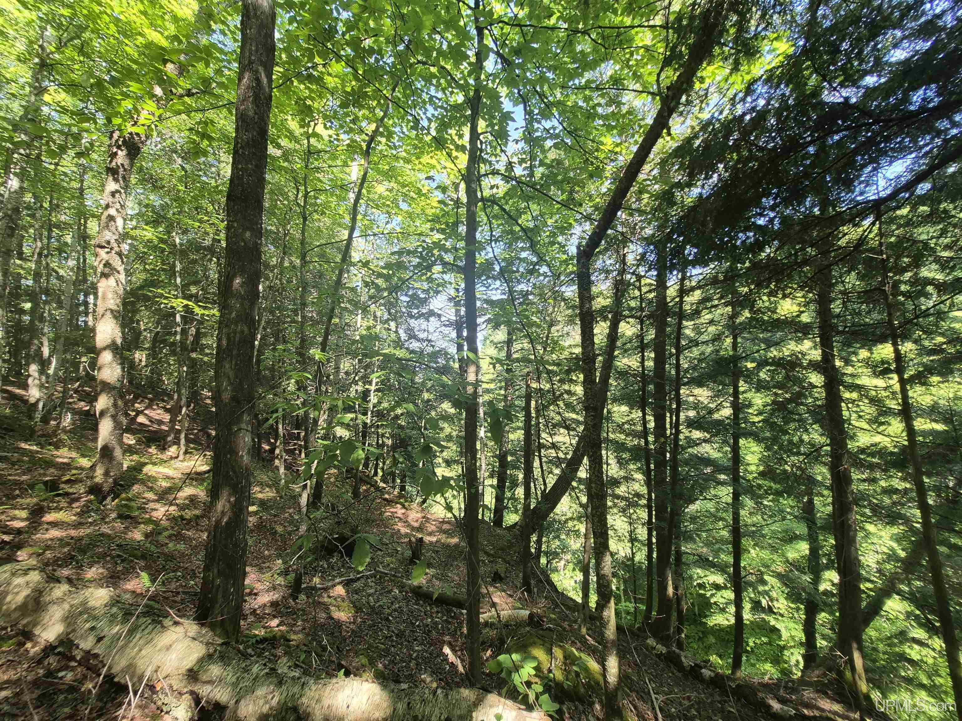 8-acres Nestor Road Munising, MI 49862 - Photo 40 of 43
