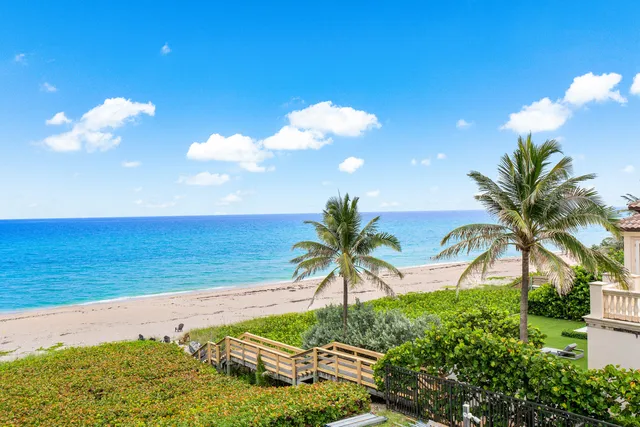 a view of an ocean and a palm tree