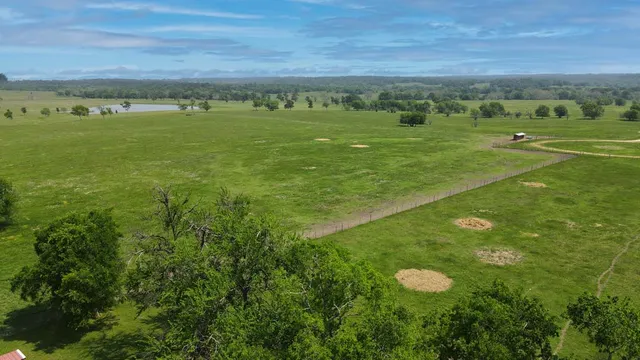 a view of a field with an ocean