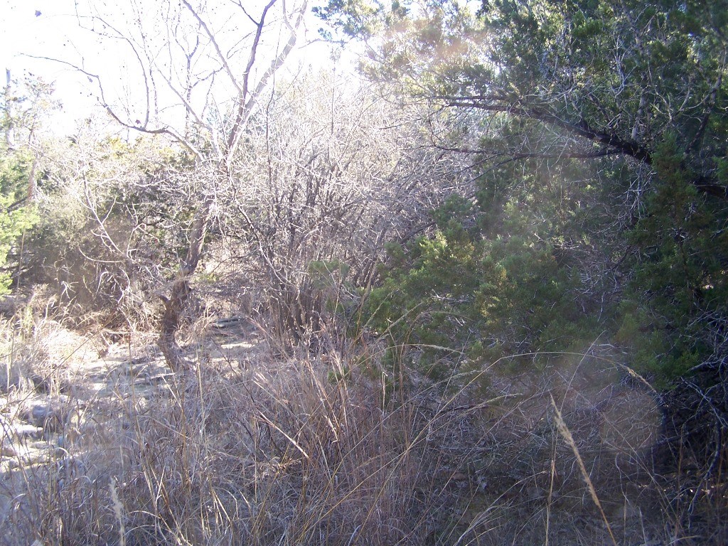 6807 Bar K Ranch Road Lago Vista, TX 78645 - Photo 1 of 1