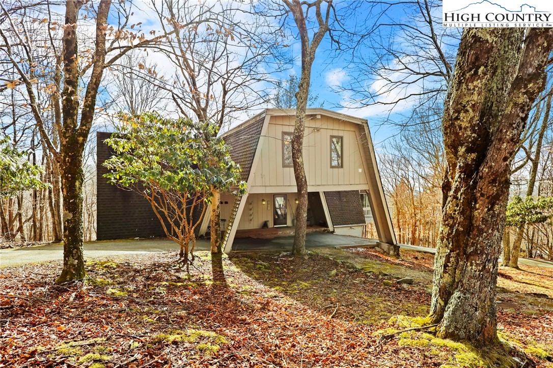 207 Pinnacle Ridge Road Beech Mountain, NC 28604 - Photo 2 of 48 a large tree in the middle of the forest