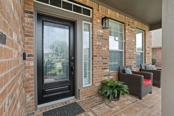 a potted plant in front of a glass door