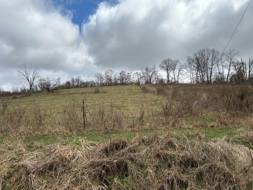 478 Moggey Road Sligo, PA 16255 - Photo 18 of 34 a view of a lake from a yard