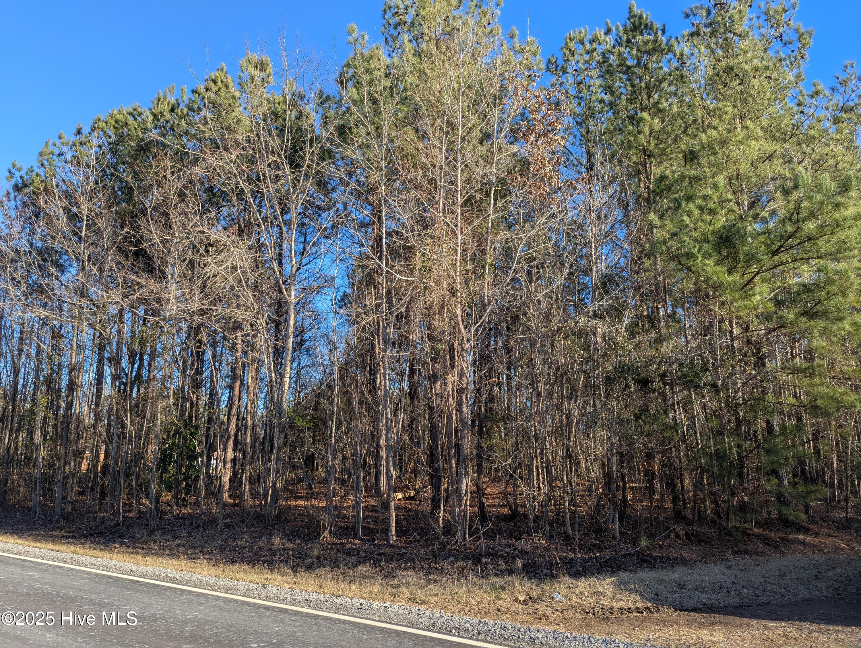 2601 Plank Road Robbins, NC 27325 - Photo 2 of 3 wooded land