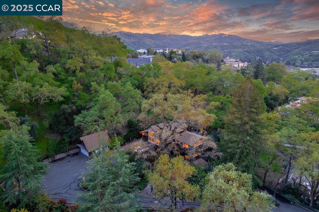 1111 Stone Valley Road Alamo, CA 94507 - Photo 34 of 47 an aerial view of residential house with outdoor space