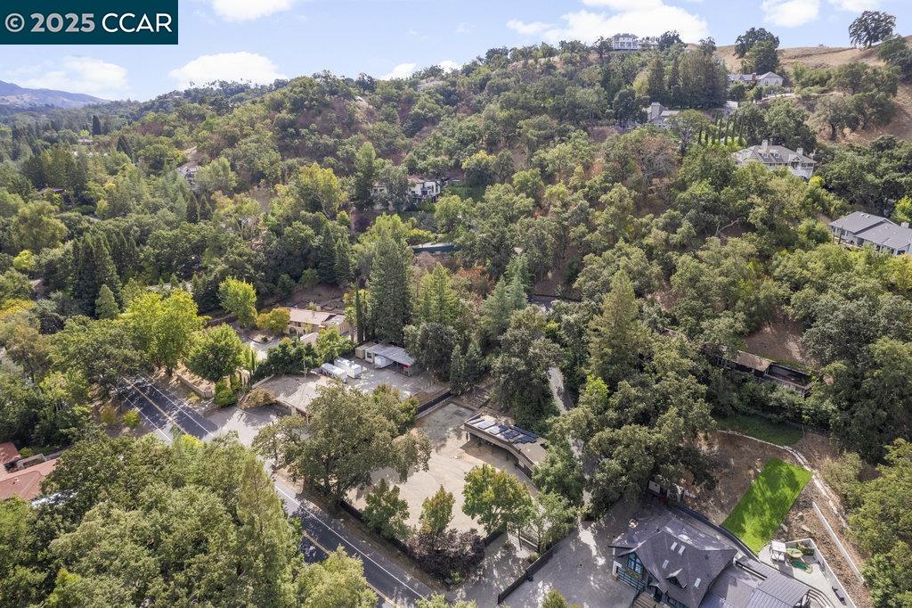 1111 Stone Valley Road Alamo, CA 94507 - Photo 39 of 47 a view of a street with a tree