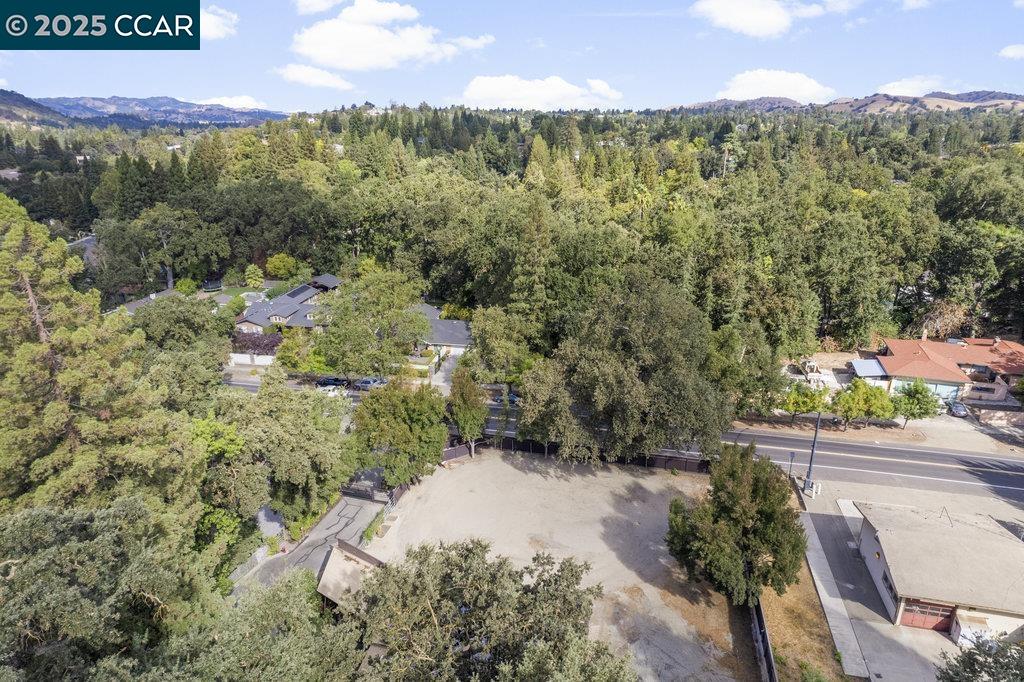 1111 Stone Valley Road Alamo, CA 94507 - Photo 40 of 47 a view of a lot of trees and houses