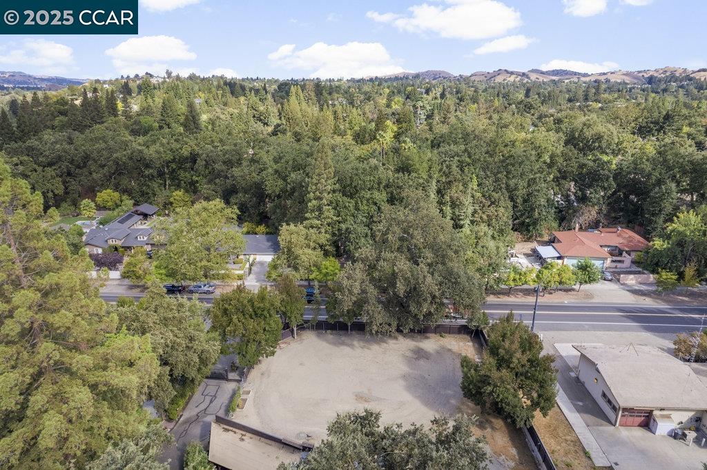 1111 Stone Valley Road Alamo, CA 94507 - Photo 41 of 47 a view of a lot of trees and houses