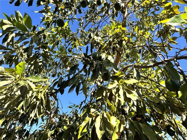 $2,950 | 7902 8th Street, Buena Park, CA 90621