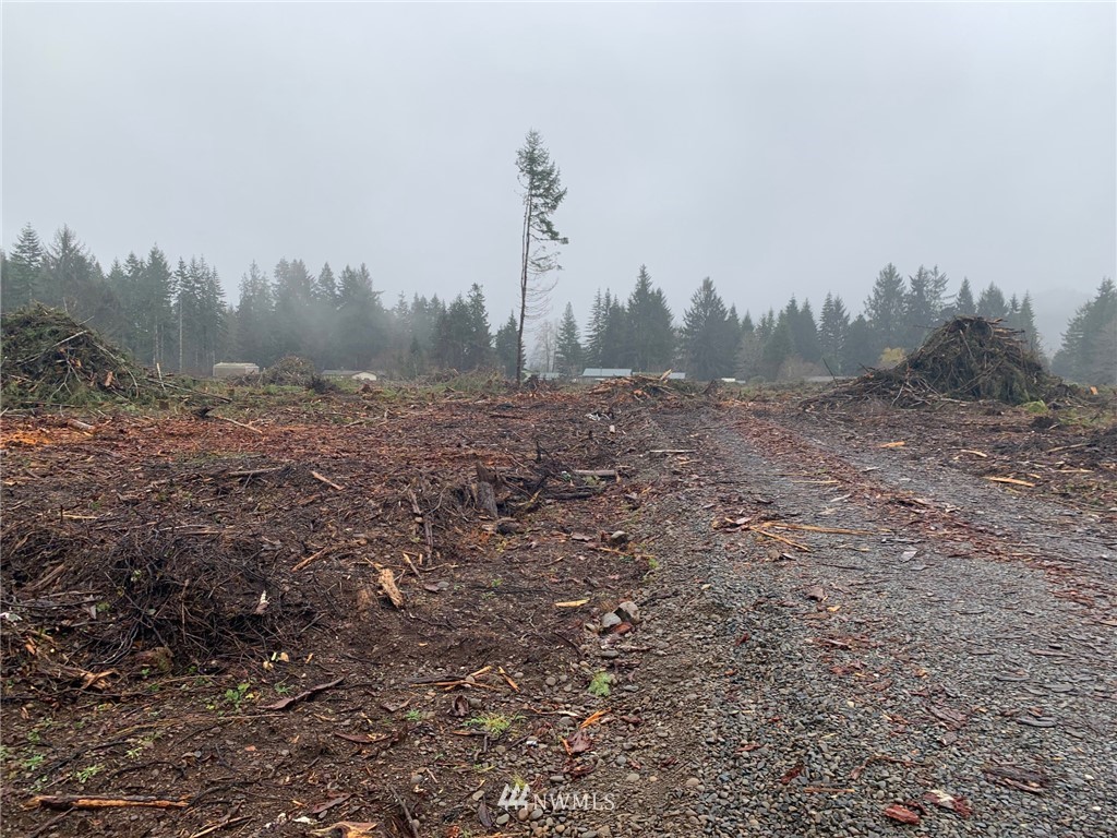 2000 Bogachiel Way Forks, WA 98331 - Photo 1 of 1 Gallery Image 1