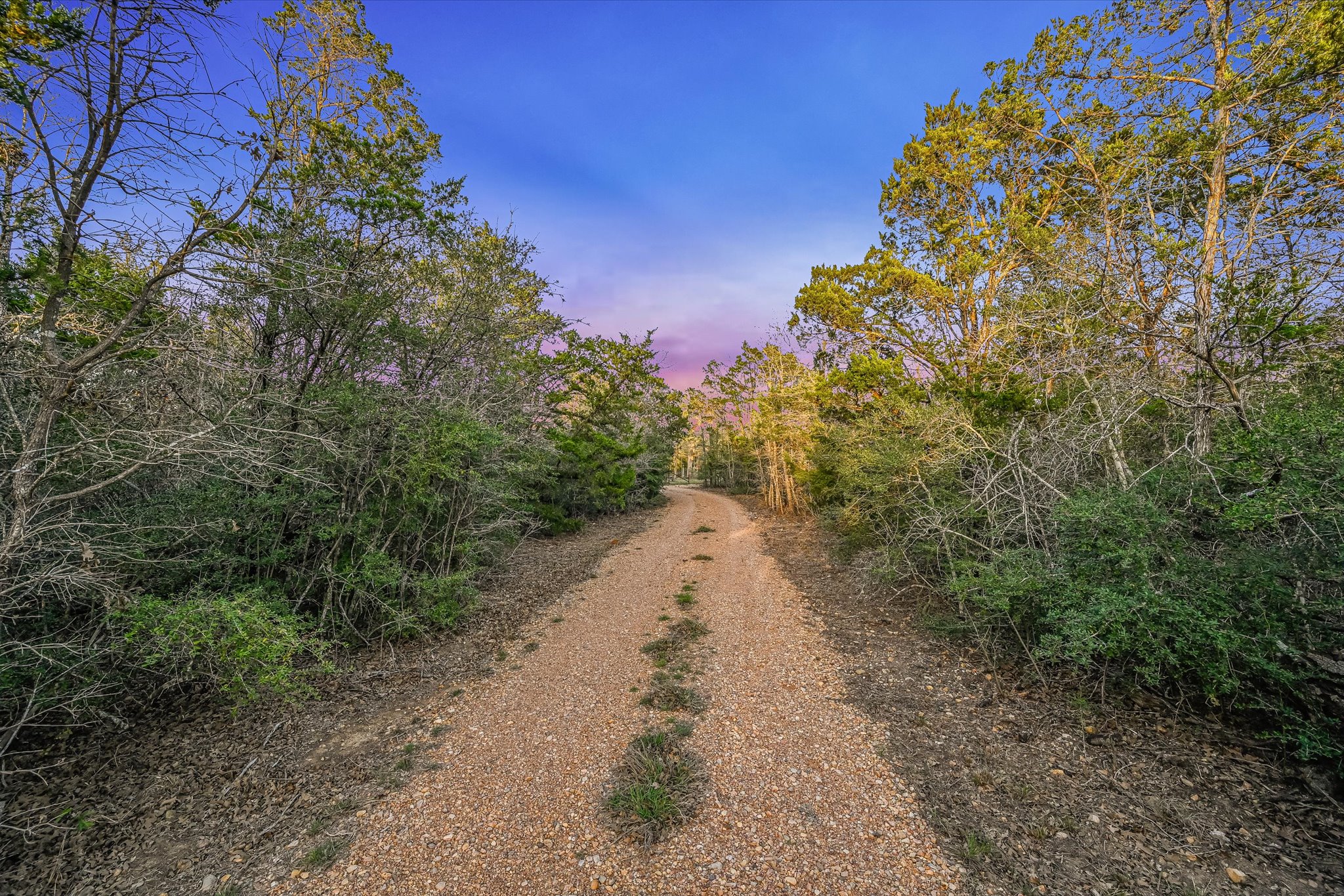853 St Delight Road Paige, TX 78659 - Photo 30 of 39
