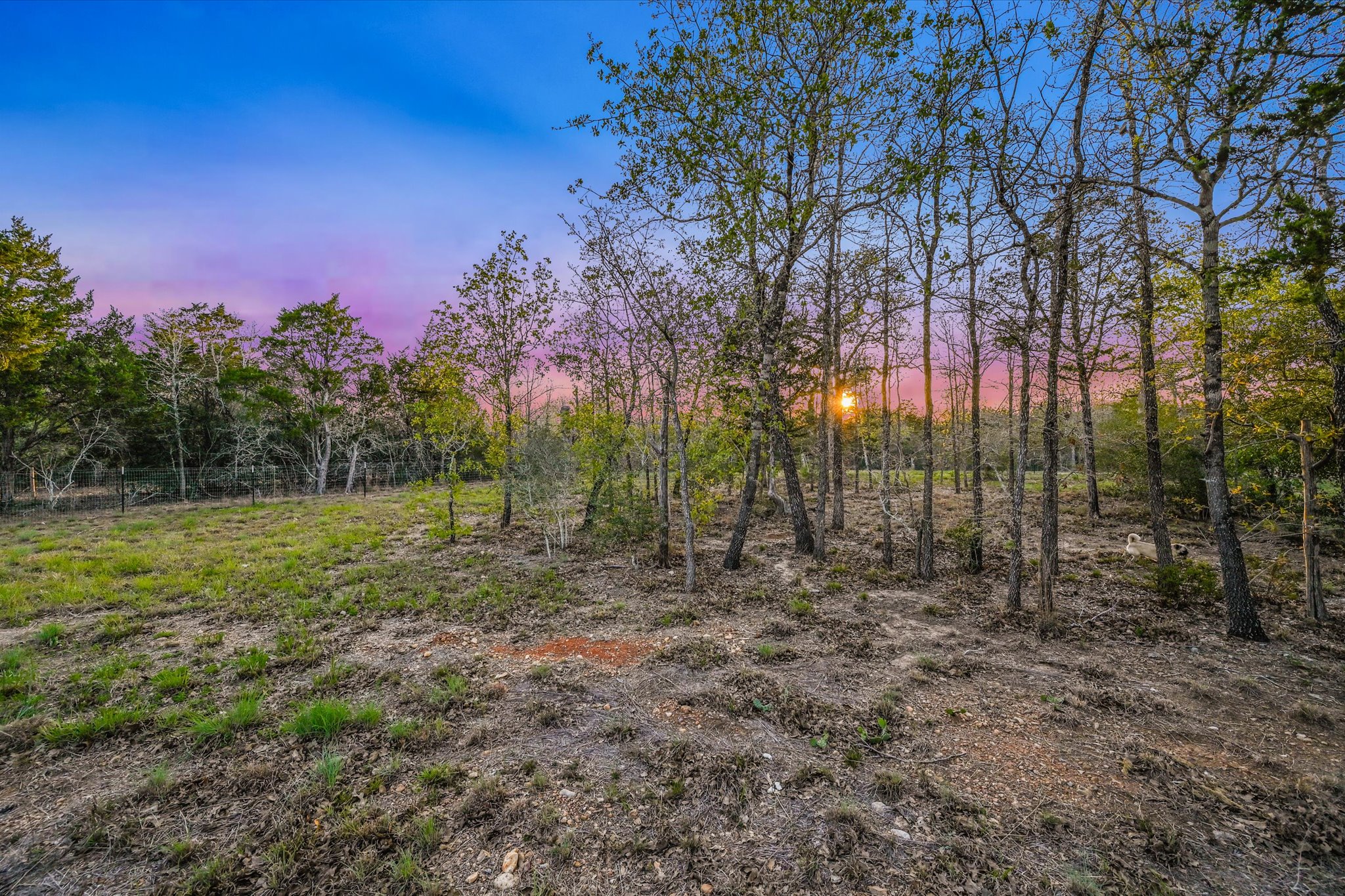 853 St Delight Road Paige, TX 78659 - Photo 31 of 39