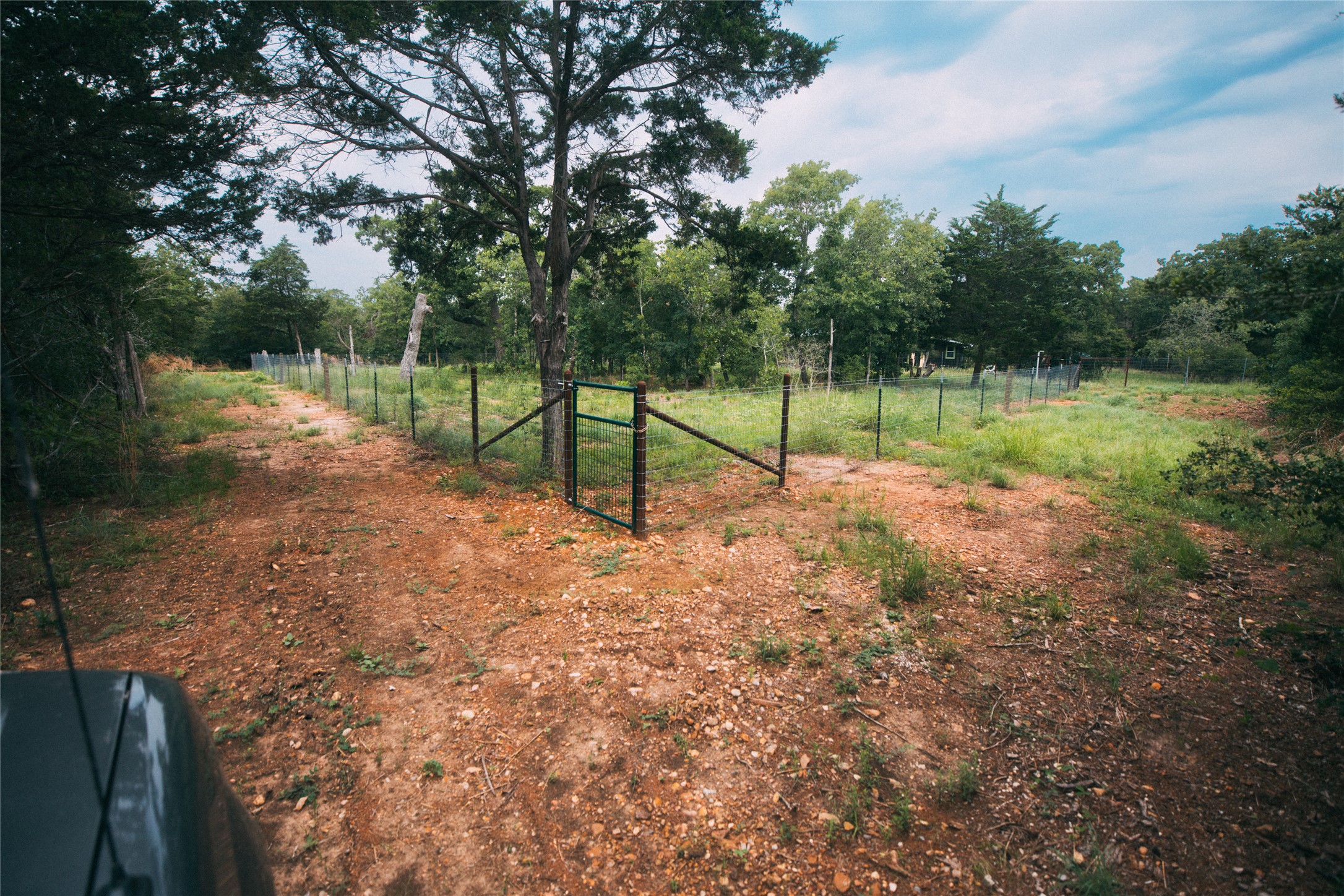 853 St Delight Road Paige, TX 78659 - Photo 6 of 39 Fence yard