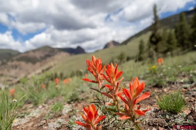 a view of a city with mountain