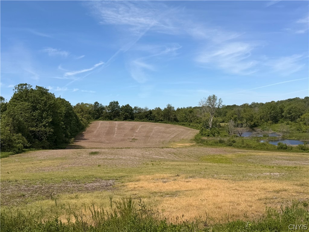 2086 State Route Sterling, NY 13156 - Photo 13 of 15 Property on the West side of the road