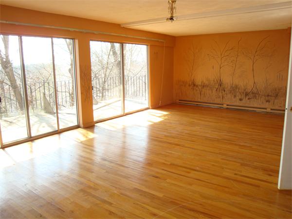 60 Walnut Hill Road Brookline, MA 02467 - Photo 15 of 24