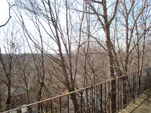 60 Walnut Hill Road Brookline, MA 02467 - Photo 20 of 24