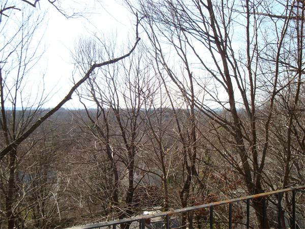 60 Walnut Hill Road Brookline, MA 02467 - Photo 22 of 24