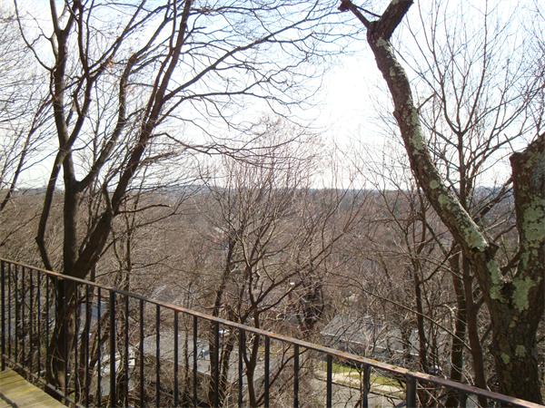 60 Walnut Hill Road Brookline, MA 02467 - Photo 23 of 24