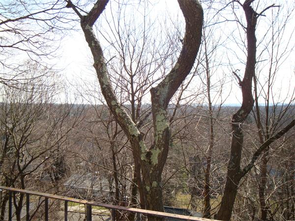 60 Walnut Hill Road Brookline, MA 02467 - Photo 24 of 24