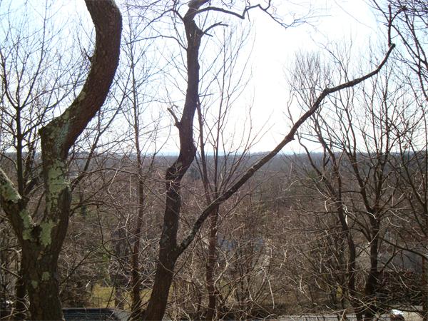 60 Walnut Hill Road Brookline, MA 02467 - Photo 3 of 24