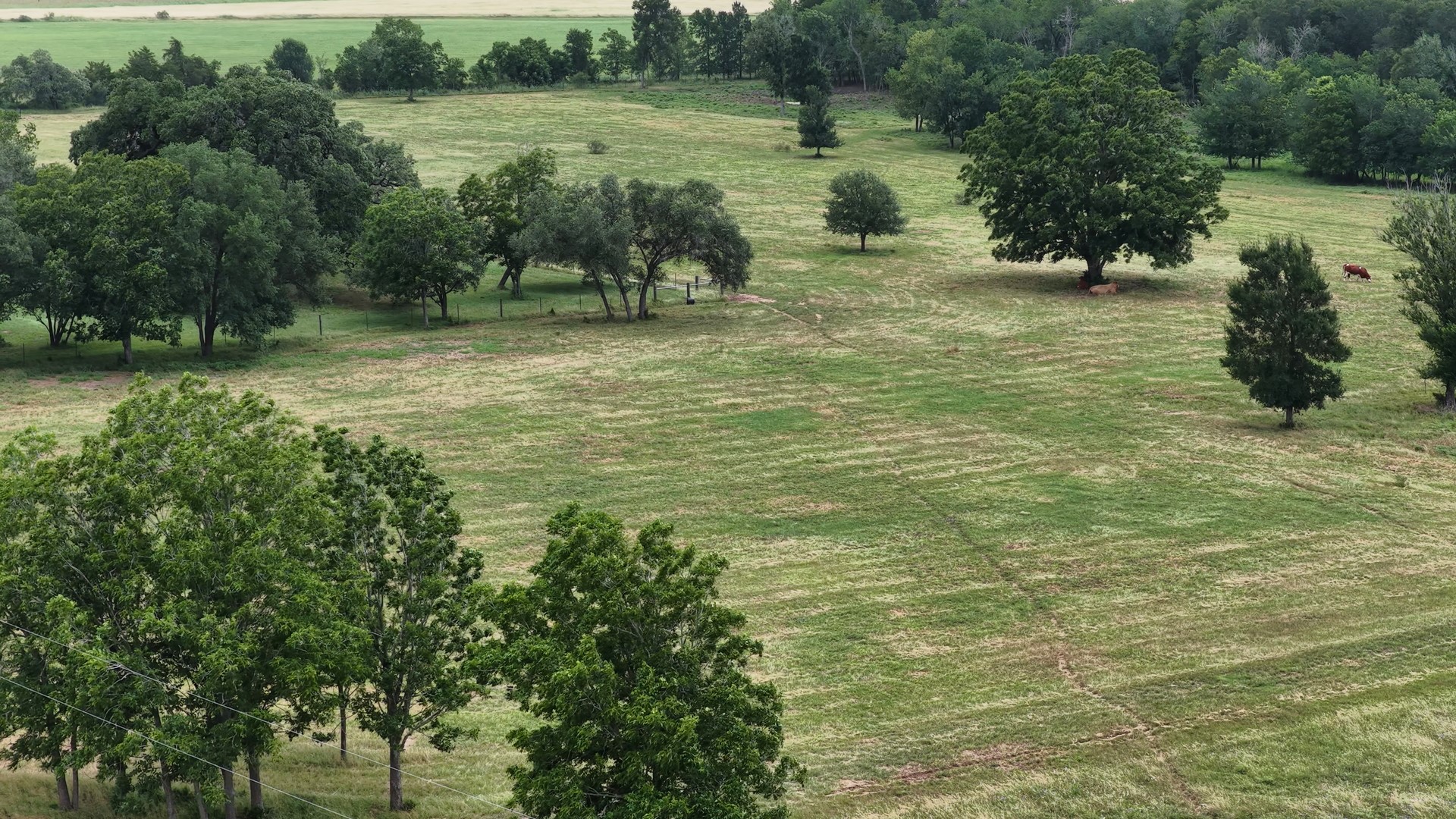 2656 River Bend Road Smithville, TX 78957 - Photo 39 of 40 Pasture